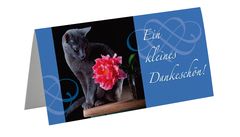 Grusskarte Katze Dankeschön