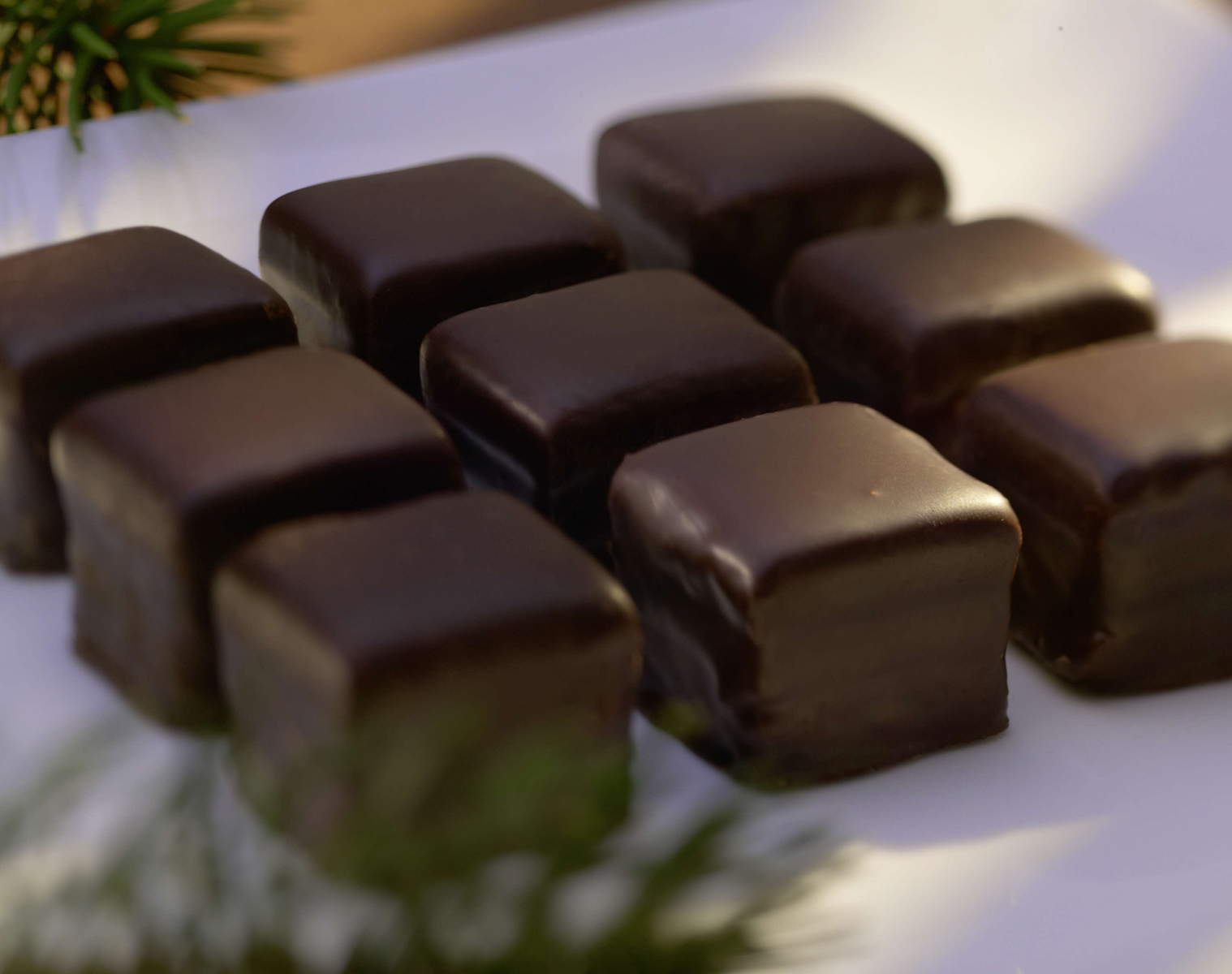 Dominosteine gleichmäßig angeordnet