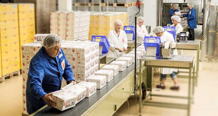Mitarbeiter verpacken hergestellte Lebkuchen in große Kartons